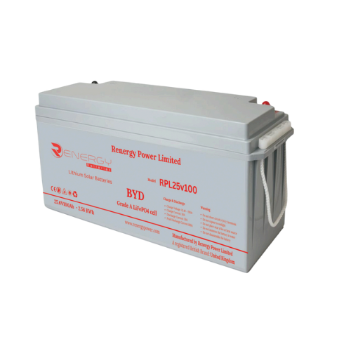 RPL25V100 – Lithium-ion Battery